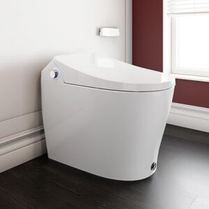 Smart Toilet with Bidet